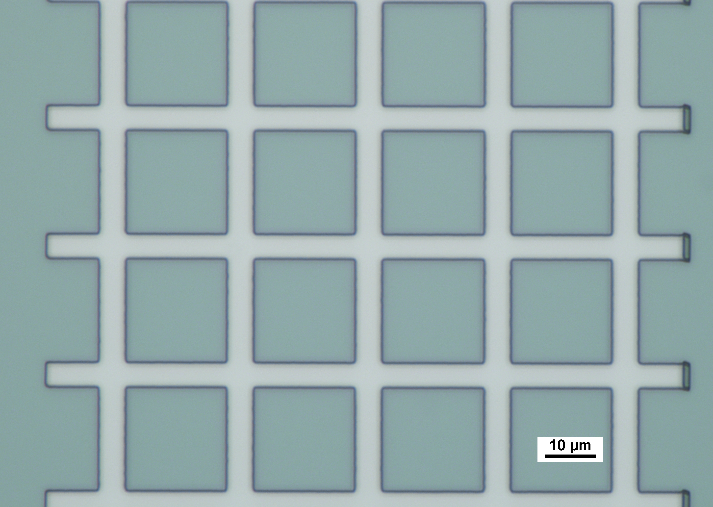 Brightfield optical micrograph of Pd grid after development