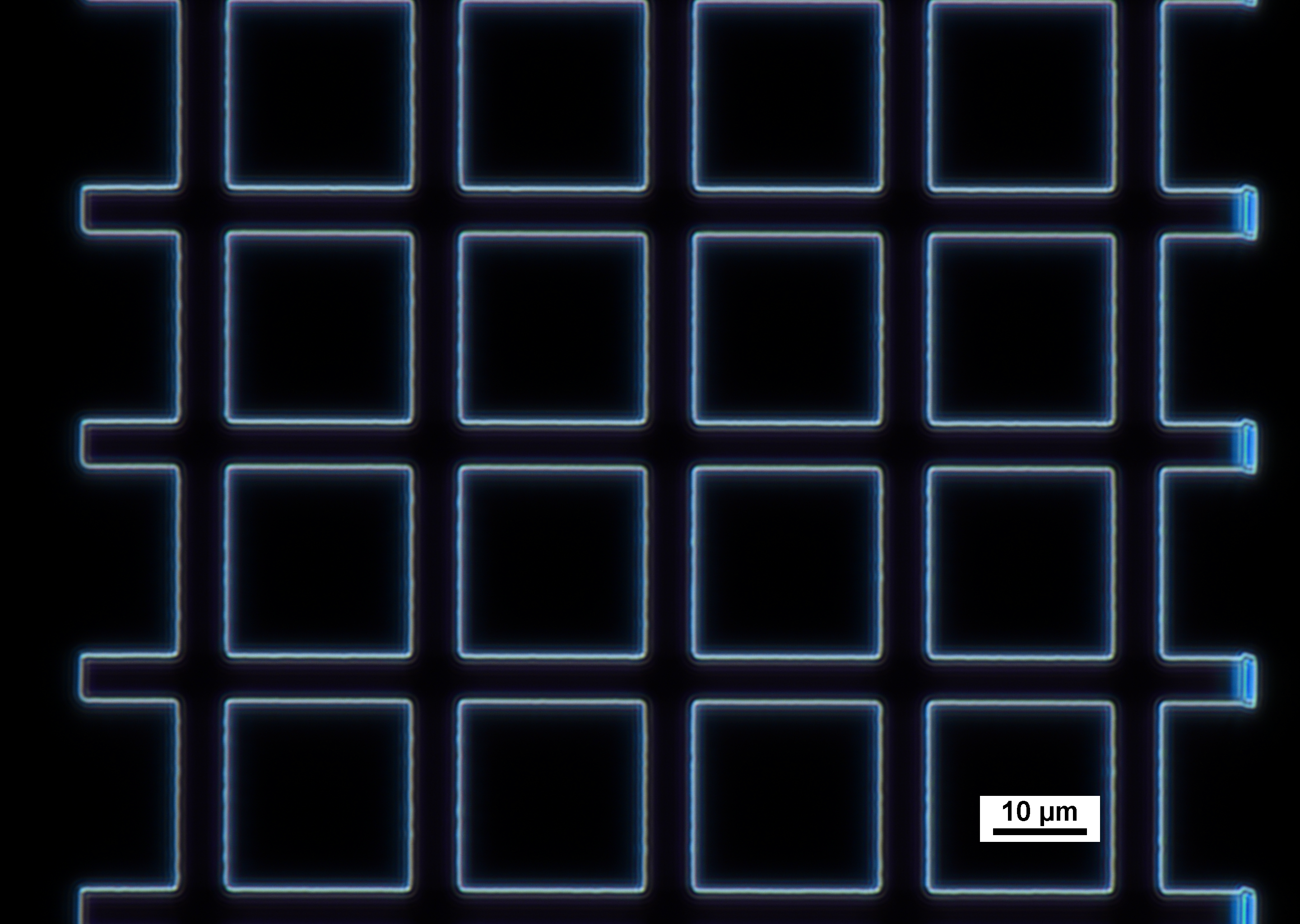Darkfield optical micrograph of Pd grid after development