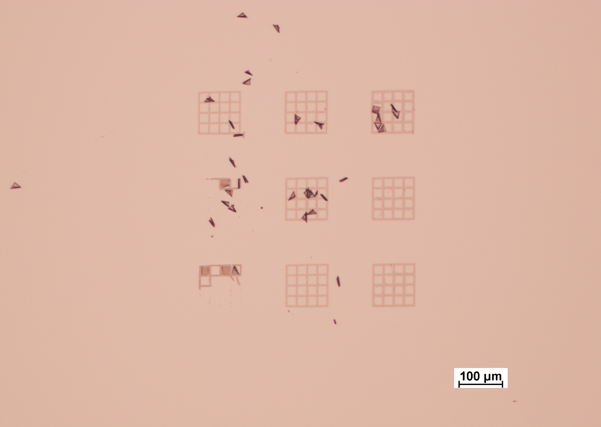 Dosage and development testing results