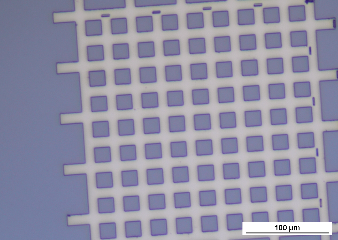 Brightfield optical micrograph of Pd grid after development