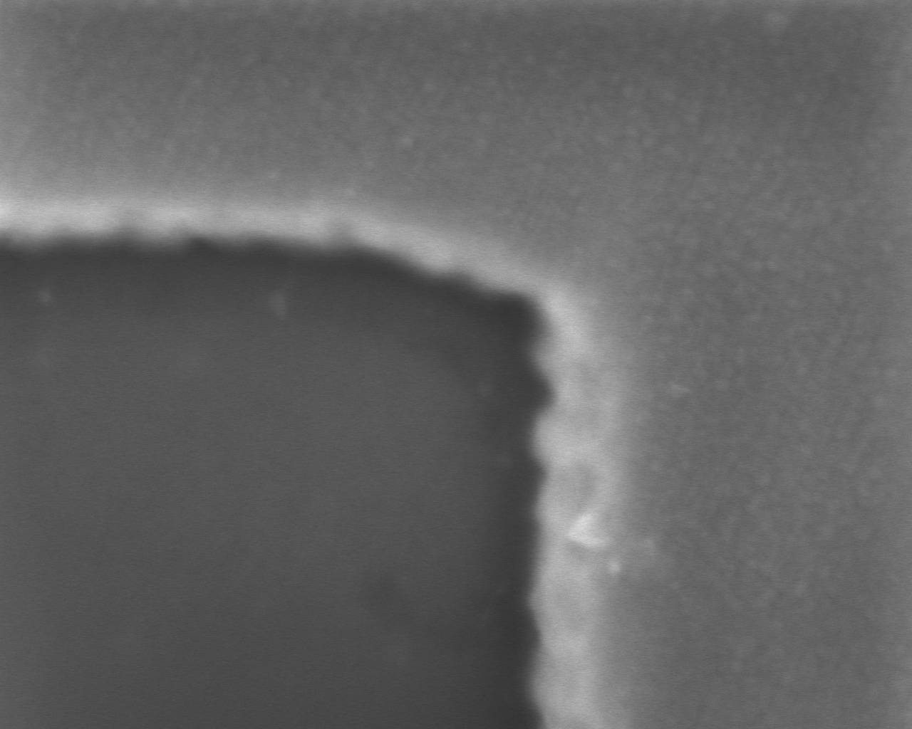 SEM images of Pd grid 4