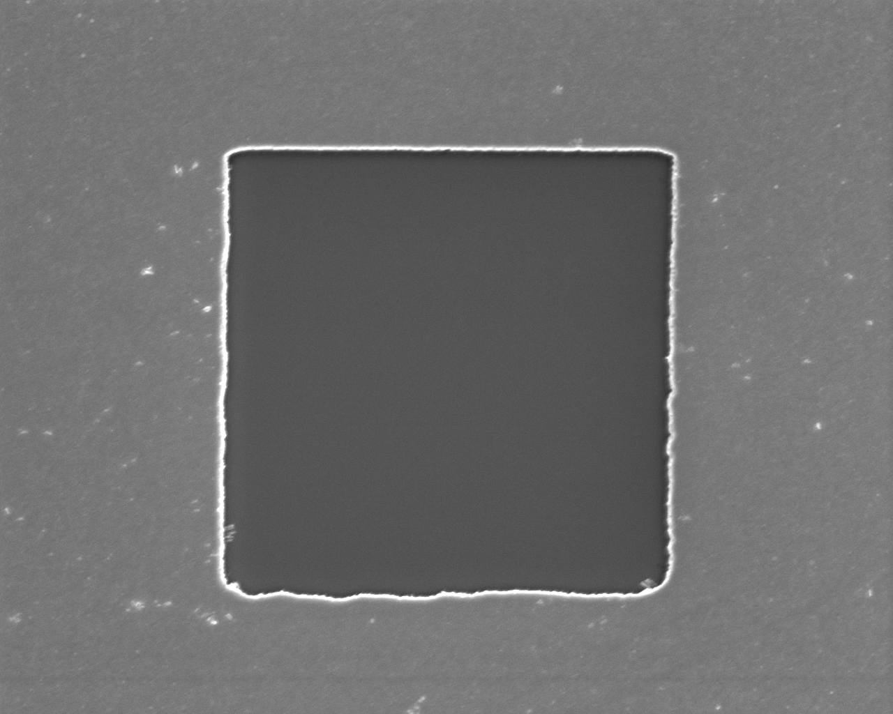 SEM images of Pd grid 5
